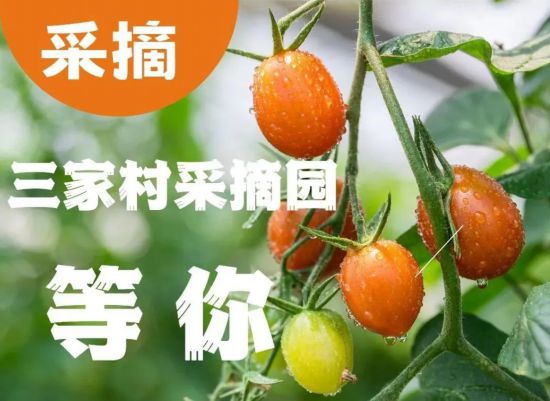5·19中国旅游日 上海近百项惠民游主题活动(图17) 5·19中国旅游日 上海近百项惠民游主题活动(图17)