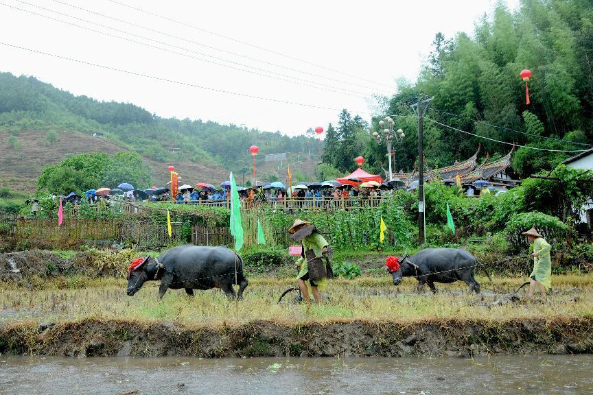 2024年德化县山地旅游节雷峰分会场暨李溪农耕文化活动举办(图2) 2024年德化县山地旅游节雷峰分会场暨李溪农耕文化活动举办(图2)