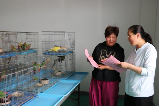 济宁市微山县张楼镇组织开展2024年科技活动周暨全国科技工作者日活动(图3) 济宁市微山县张楼镇组织开展2024年科技活动周暨全国科技工作者日活动(图3)