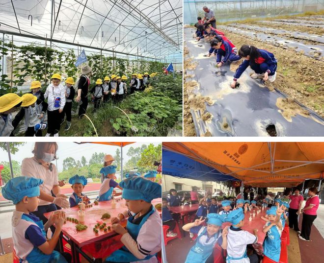 8月27日开幕!2024年蓬江·杜阮凤眼果美食文化旅游活动精彩亮点今日全剧透(图4) 8月27日开幕!2024年蓬江·杜阮凤眼果美食文化旅游活动精彩亮点今日全剧透(图4)