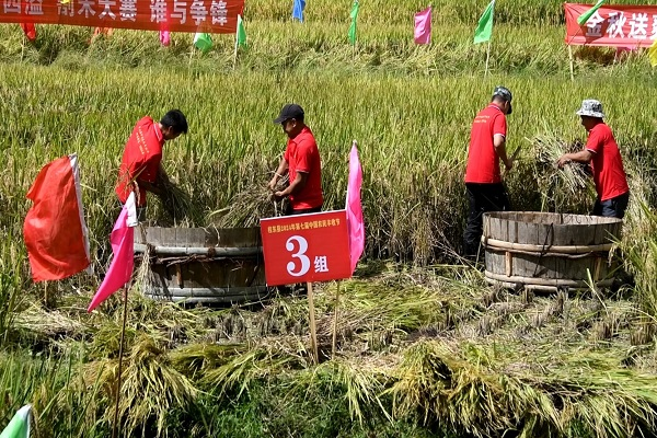 湖南桂东县举办2024年第七届农民丰收节庆祝活动(图2)