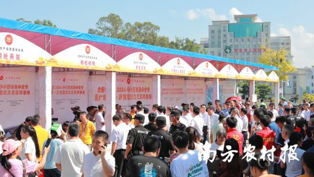 三十而“励”！云浮市庆祝2024年中国农民丰收节暨广东云浮·罗定稻米文化系列活动举行(图6)