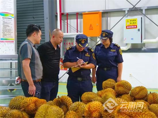 2024年中越(红河)边境经济贸易旅游交易会将于11月26日至12月1日举办(图4) 2024年中越(红河)边境经济贸易旅游交易会将于11月26日至12月1日举办(图4)