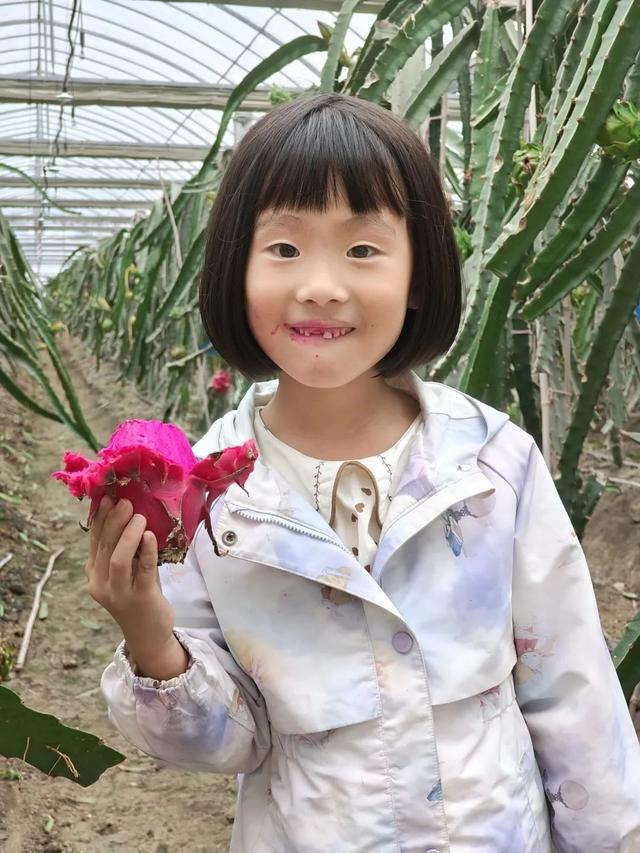 看!2024年重固镇家庭文化节活动丰富又精彩(图3) 看!2024年重固镇家庭文化节活动丰富又精彩(图3)