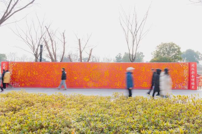 再上央视!2025江都新春游园会火热出圈……(图5) 再上央视!2025江都新春游园会火热出圈……(图5)