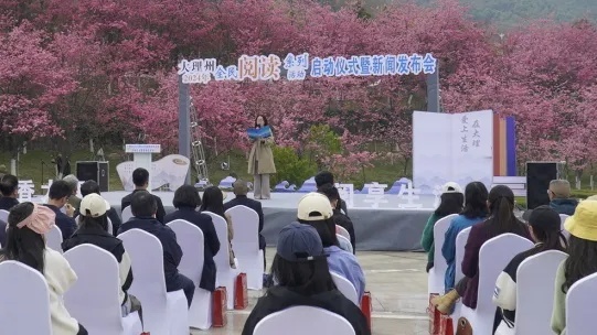 大理:奋楫扬帆新征程 文化强州展新篇(图3) 大理:奋楫扬帆新征程 文化强州展新篇(图3)