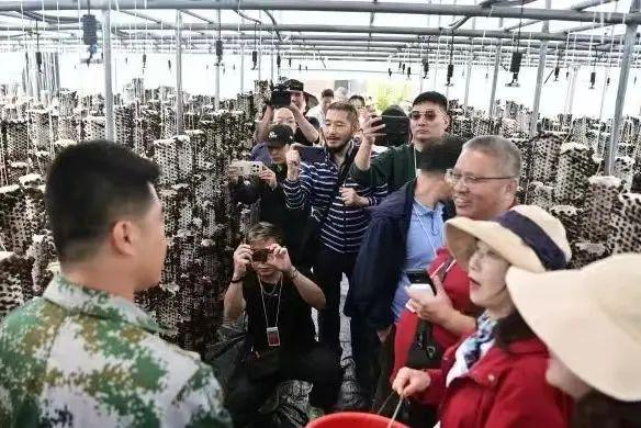 春风化雨润民心——2024年甘南宣传思想文化工作综述(图3) 春风化雨润民心——2024年甘南宣传思想文化工作综述(图3)