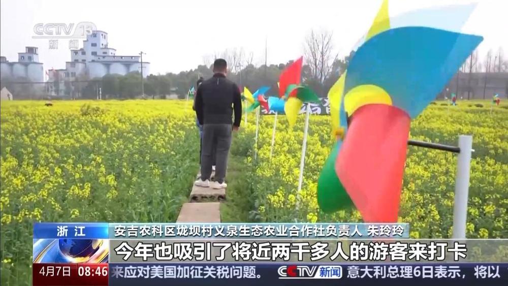 以花为媒人间四月天来山东菏泽赏牡丹(图2) 以花为媒人间四月天来山东菏泽赏牡丹(图2)