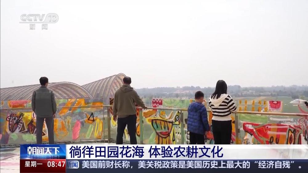 以花为媒人间四月天来山东菏泽赏牡丹(图5) 以花为媒人间四月天来山东菏泽赏牡丹(图5)